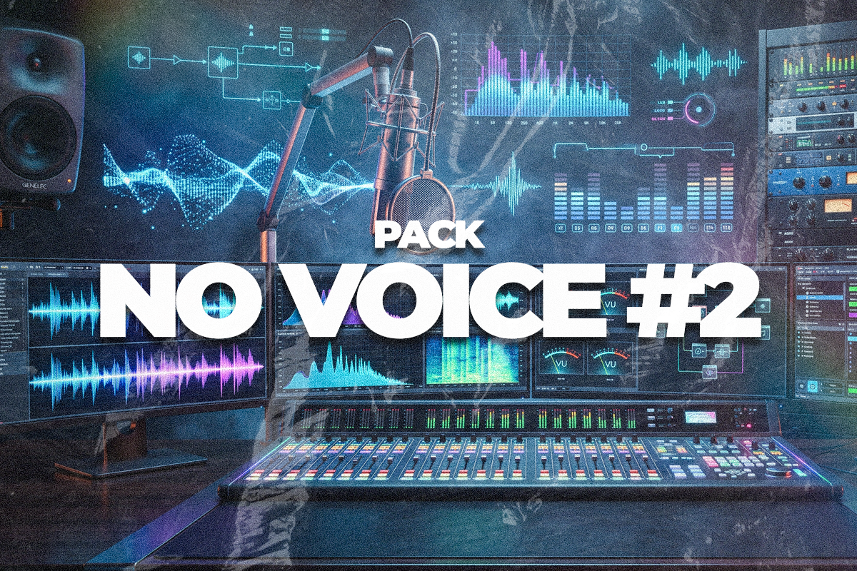 NO VOICE #2